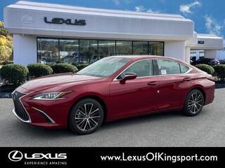 2025 Lexus ES 350 for sale in Kingsport TN