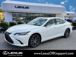 2025 Lexus ES 350 for sale in Kingsport TN