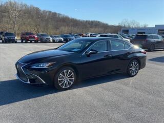 2020 Lexus ES 350 for sale in Kingsport TN