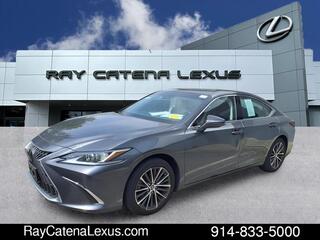 2022 Lexus ES 350 for sale in Larchmont NY