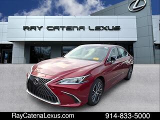 2023 Lexus ES 350 for sale in Larchmont NY