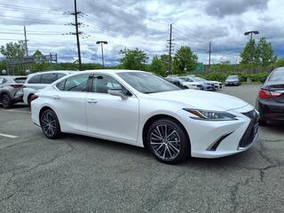2025 Lexus ES 350 for sale in Little Falls NJ