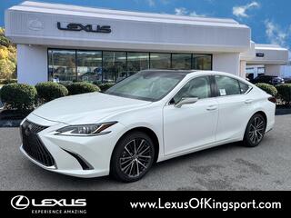 2025 Lexus ES 350 for sale in Kingsport TN