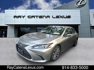 2020 Lexus ES 350 for sale in Larchmont NY