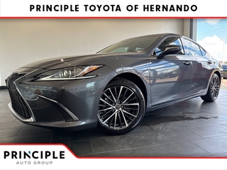 2024 Lexus ES 350