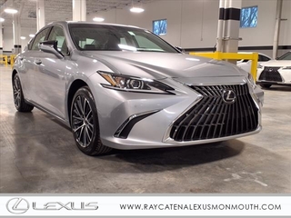 2025 Lexus ES 350 for sale in Oakhurst NJ