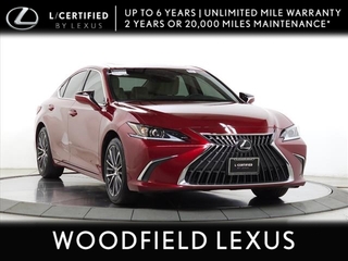 2022 Lexus ES 350 for sale in Schaumburg IL