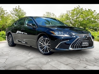 2023 Lexus ES 350 for sale in Freehold NJ