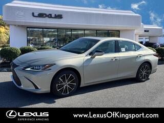 2025 Lexus ES 350 for sale in Kingsport TN