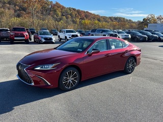 2025 Lexus ES 350 for sale in Kingsport TN
