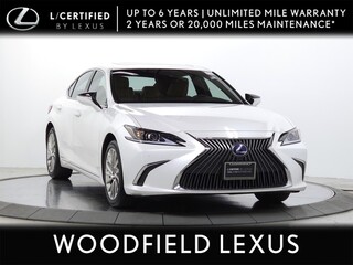 2020 Lexus ES 300h for sale in Schaumburg IL