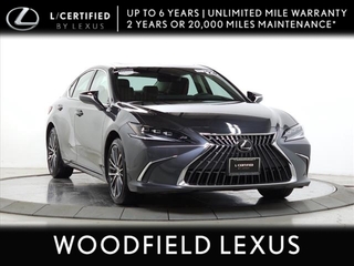 2023 Lexus ES 300h for sale in Schaumburg IL