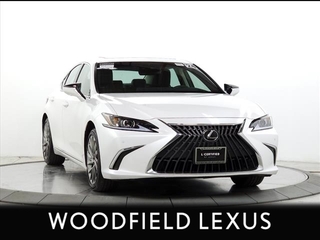 2024 Lexus ES 300h for sale in Schaumburg IL