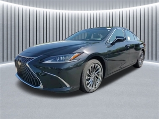 2025 Lexus ES 300h for sale in Schaumburg IL