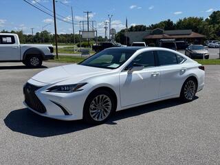 2024 Lexus ES 350 for sale in Kingsport TN