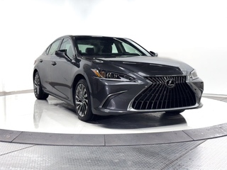 2025 Lexus ES 350 for sale in Schaumburg IL
