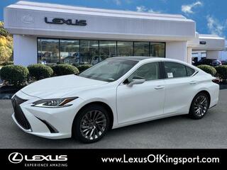 2025 Lexus ES 350 for sale in Kingsport TN