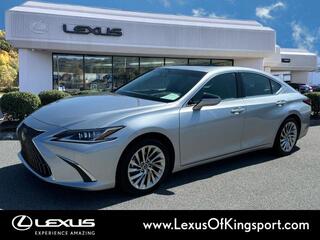 2022 Lexus ES 350 for sale in Kingsport TN