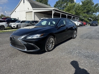2020 Lexus ES 350 for sale in Allentown PA