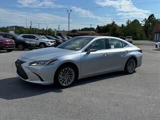 2025 Lexus ES 350 for sale in Kingsport TN