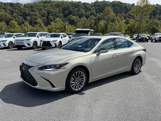2025 Lexus ES 300h for sale in Kingsport TN