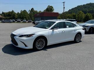 2025 Lexus ES 300h for sale in Kingsport TN