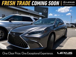 2024 Lexus ES 350 for sale in Chattanooga TN