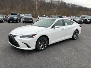 2025 Lexus ES 350 for sale in Kingsport TN