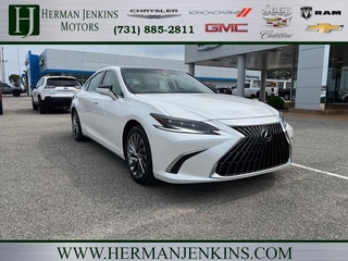 2024 Lexus ES 350