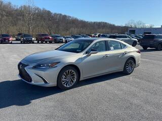 2025 Lexus ES 350 for sale in Kingsport TN