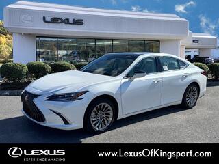 2025 Lexus ES 350 for sale in Kingsport TN