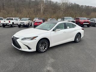 2025 Lexus ES 350 for sale in Kingsport TN