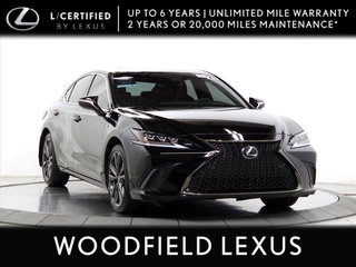 2021 Lexus ES 350 for sale in Schaumburg IL