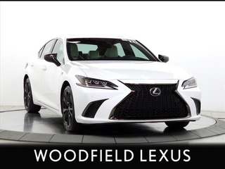 2021 Lexus ES 350 for sale in Schaumburg IL