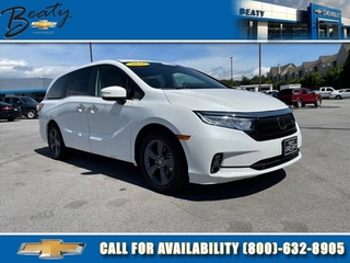 2021 Honda Odyssey for sale in Morristown TN