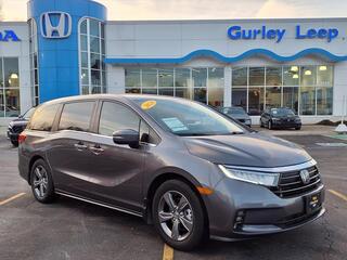 2024 Honda Odyssey for sale in Tupelo MS