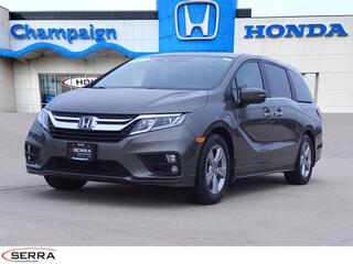 2019 Honda Odyssey for sale in Savoy IL