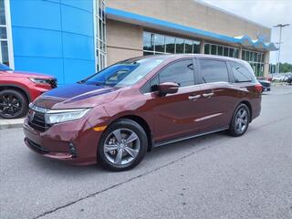 2021 Honda Odyssey for sale in Gallatin TN