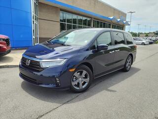 2024 Honda Odyssey for sale in Gallatin TN