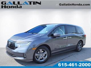 2024 Honda Odyssey for sale in Gallatin TN