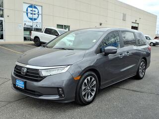 2024 Honda Odyssey for sale in Mishawaka IN