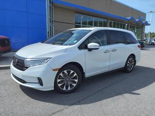 2024 Honda Odyssey