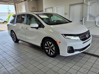 2025 Honda Odyssey for sale in Bowling Green KY