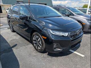 2026 Honda Odyssey for sale in Bowling Green KY