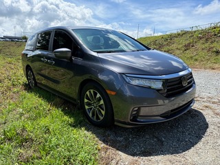 2023 Honda Odyssey for sale in Greer SC