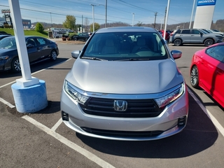 2024 Honda Odyssey for sale in Johnson City TN