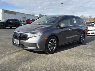2024 Honda Odyssey for sale in Roanoke VA