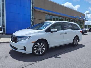 2024 Honda Odyssey
