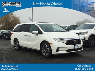 2025 Honda Odyssey
