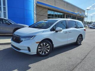 2024 Honda Odyssey for sale in Gallatin TN